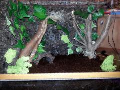 20140421_173232.jpg