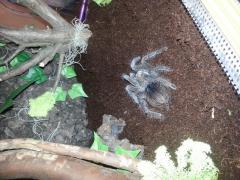 20140421_174044.jpg