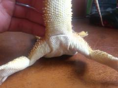 post-57696-0-15483200-1397986597_thumb.j