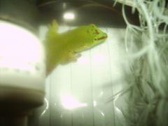 post-62602-0-35784800-1396977773_thumb.j