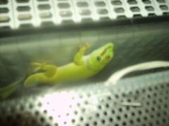 post-62602-0-81219000-1396977897_thumb.j