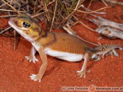 Załączony obraz: 1_800.jpg