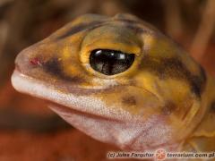 Załączony obraz: 2_800.jpg