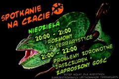 jaszczurki.jpg