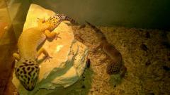 WP_20150521_09_11_01_Pro.jpg