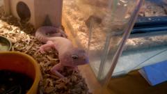 WP_20150521_09_11_25_Pro.jpg