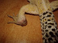 20150504_151427.jpg