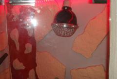 DSC05605.JPG