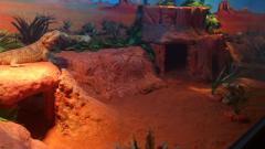DSC_0684_800x450.jpg