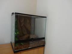 DSC0275421.jpg