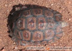 Załączony obraz: 2.jpg