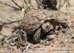 Załączony obraz: 4.jpg