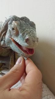 20140615_103137.jpg