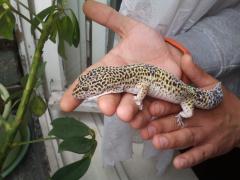 2014-06-22 12.04.21.jpg