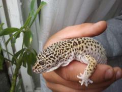 2014-06-22 12.04.30.jpg