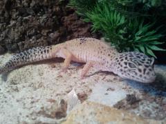 2014-06-22 12.00.39.jpg