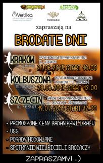 BRODATE DNI.jpg