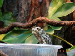 DSC00439_1280x960.JPG