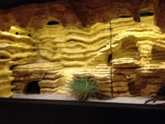IMG_0080.JPG