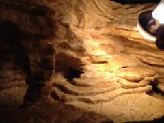 IMG_0099.JPG