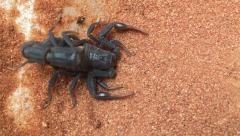 Załączony obraz: 0E400BC4-7F9D-4E21-B4F5-4B238C6E41F3.jpeg