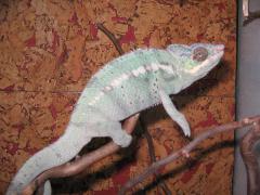 IMG_4033.JPG