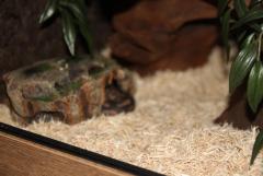 IMG_4917.JPG