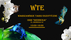 Baner WTE yt5.png