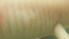 20170701_164050.jpg