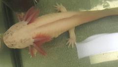 20170701_164043.jpg