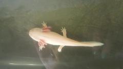 20170705_163125.jpg