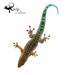 Załączony obraz: 23.jpg