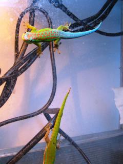 Załączony obraz: 167459_178910855473020_120018374695602_470800_8096345_n.jpg