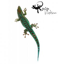 Załączony obraz: 13.jpg