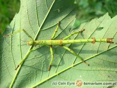 Załączony obraz: 4.jpg