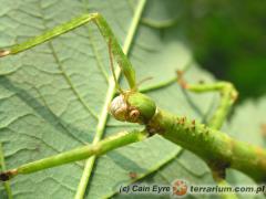 Załączony obraz: 3.jpg