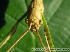 Załączony obraz: 2.jpg