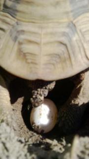 WP_20140321_005.jpg