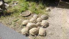 WP_20140807_003.jpg