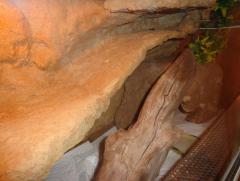 DSC01064.JPG