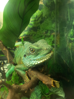 2015-04-05 21.54.06.png