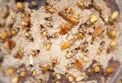 Załączony obraz: 1.JPG