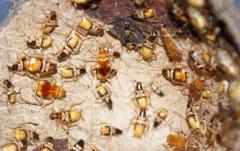 Załączony obraz: 2.JPG