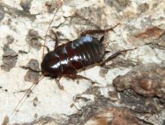 Załączony obraz: DSC08613.JPG