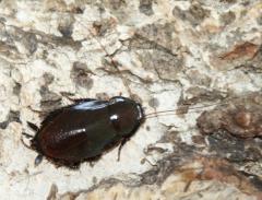 Załączony obraz: DSC08611.JPG