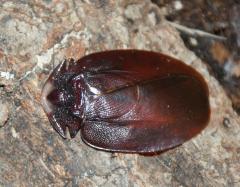 Załączony obraz: DSC08311.JPG