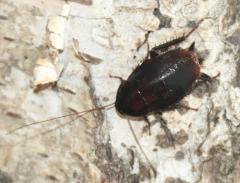 Załączony obraz: DSC08619.JPG