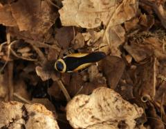 Załączony obraz: DSC07369.JPG