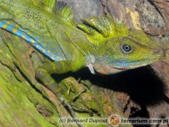 Załączony obraz: 1.jpg