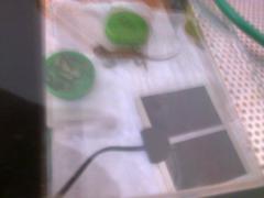 post-58610-0-32590300-1379854170_thumb.j